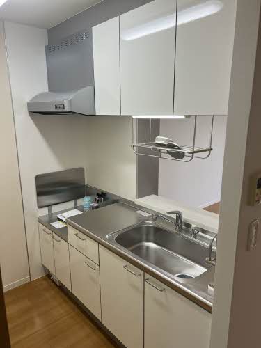 ディアス・ＦＪ D101号-9