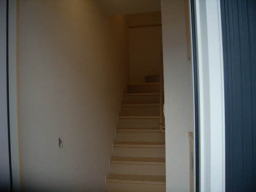 BelVita 0202号-2