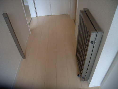 BelVita 0202号-3