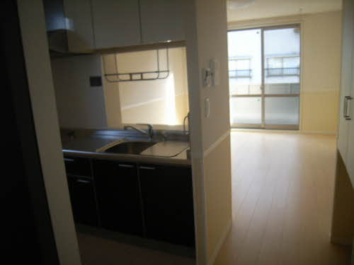 BelVita 0202号-8