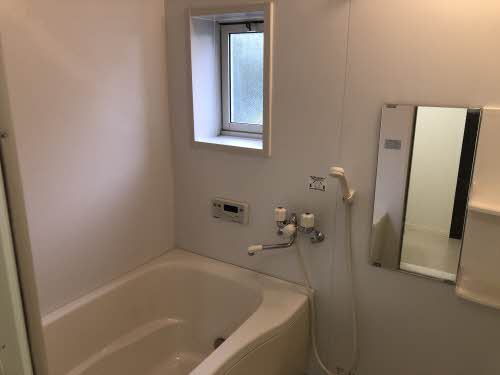 ストレリチア 0101号-10