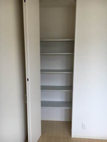 ストレリチア 0203号-6