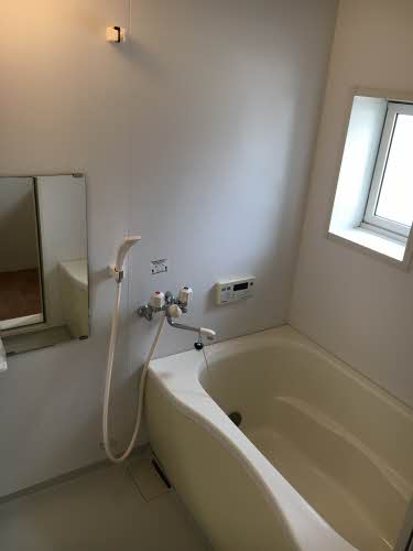 ストレリチア 0203号-11