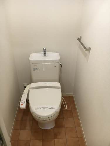 ストレリチア 0203号-13