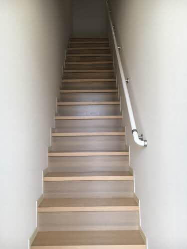 ストレリチア 0203号-14