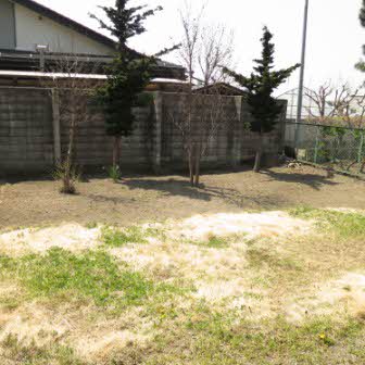 Sha Maison N 0101号-9