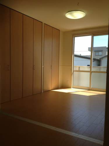 ザシャープ 0203号-11