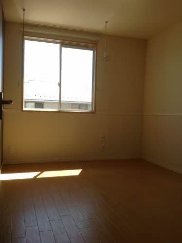 ザシャープ 0203号-14