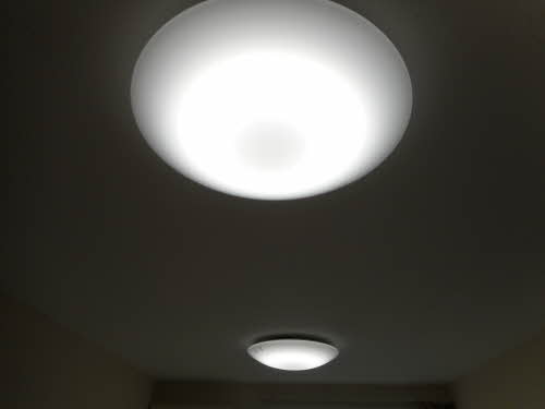 シャーメゾン　シーマウス A202号-11