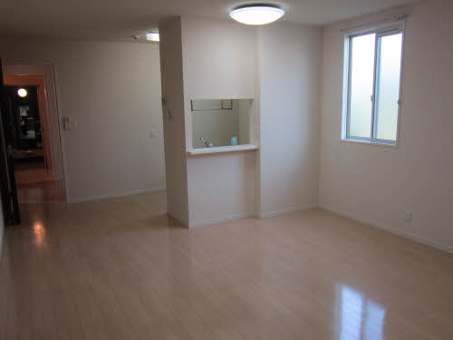 ファイン　コート 0101号-14