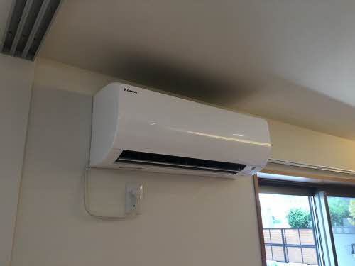 フェリシード 0102号-8