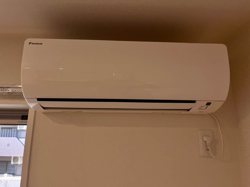 フェリシード 0205号-6