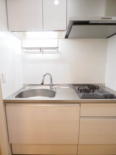 サウスヴィラ 0103号-3