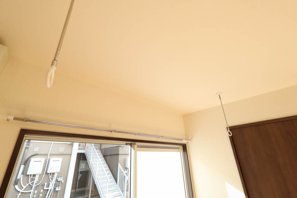 フレグランスグレープ B101号-6