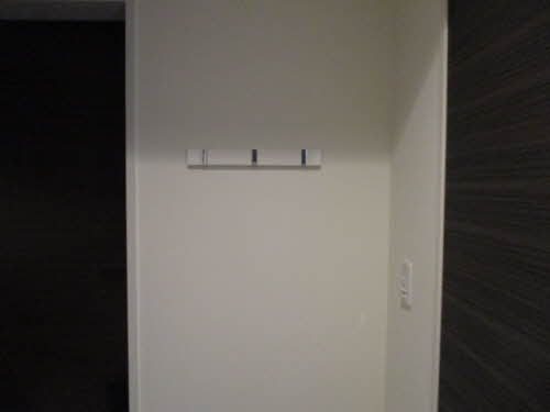 ＺＥＨ２１ 0102号-11