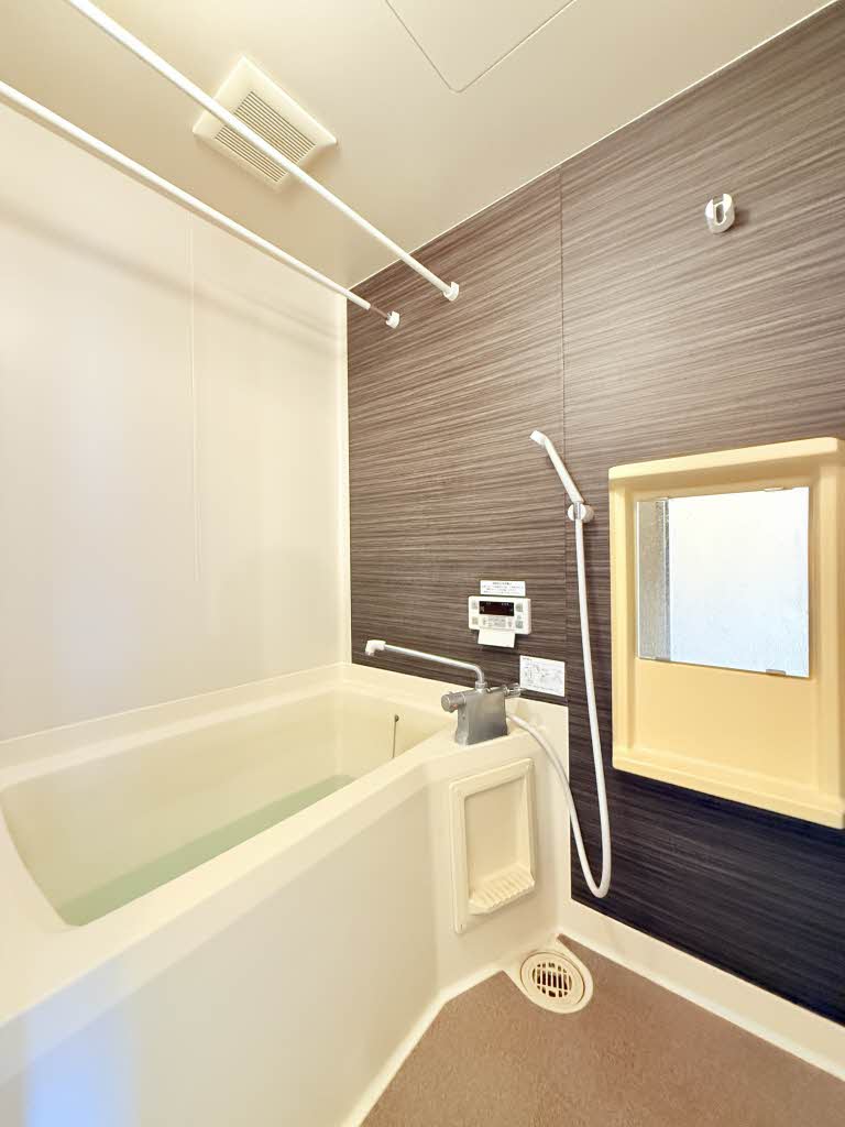 ディアスイイジマⅡ 0202号-10