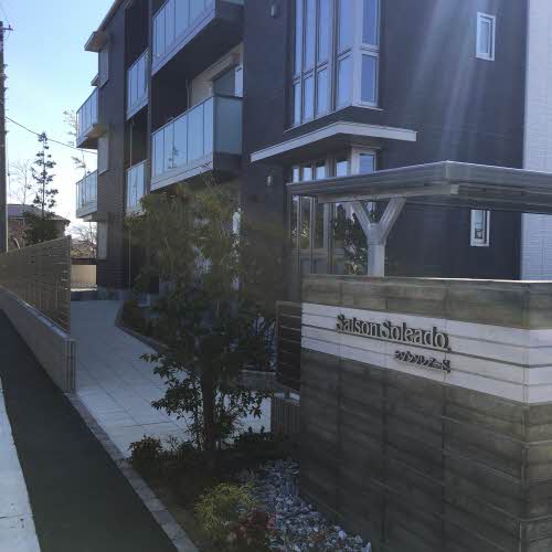 Ｓａｉｓｏｎ　Ｓｏｌｅａｄｏ 0102号-14