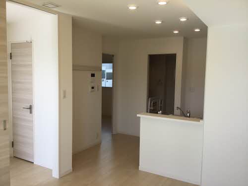 イチセイ・ハナ 0105号-2