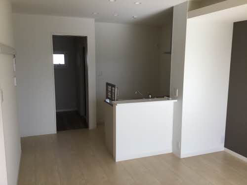 イチセイ・ハナ 0203号-2