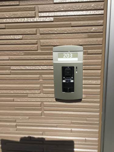 イチセイ・ハナ 0203号-3