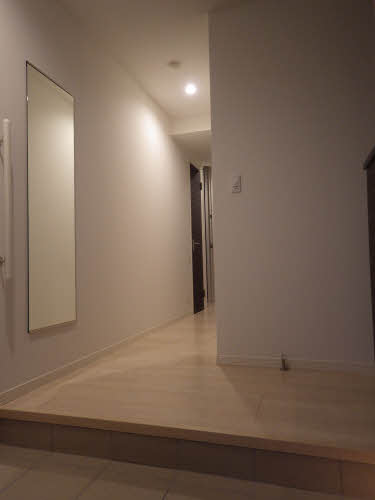 アイレックス 0105号-11