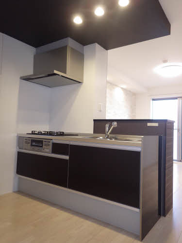 アイレックス 0301号-4