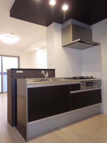 アイレックス 0305号-4