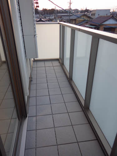 アイレックス 0305号-7