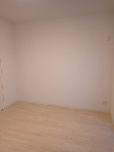 アイレックス 0305号-15