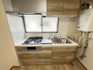 グリーンヒルズ H202号-9