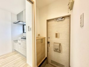 サンカトレア 0105号-12