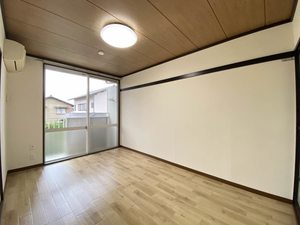 ラプラスいずみ 0201号-4