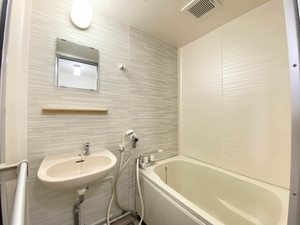 ラプラスいずみ 0201号-8