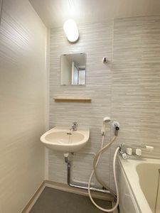 ラプラスいずみ 0201号-9