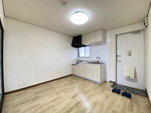 ラプラスいずみ 0201号-14