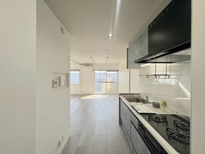 サンシャトー香奈 K201号-8