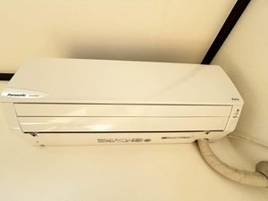 パックスヘイブン A201号-5