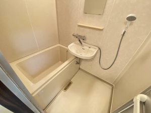 フラットレット藤 0103号-6