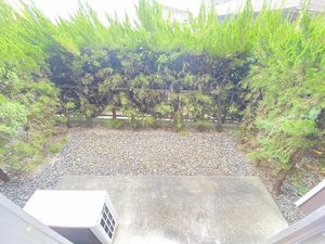 フラットレット藤 0103号-15