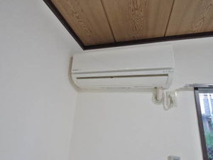 フラットレット藤 0105号-13