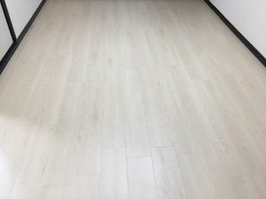 サンハイツ花園 B103号-6