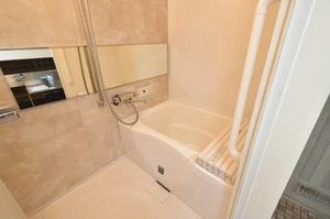 久田ハウスⅠ 0203号-11