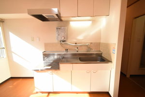 メゾン大志 0205号-4