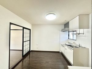 ハイツサンシャイン N102号-10