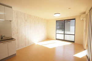 セナブセナ A202号-2