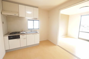 セナブセナ A205号-2