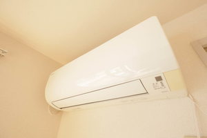 セナブセナ A205号-6