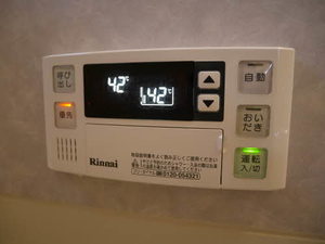 セナブセナ B101号-10