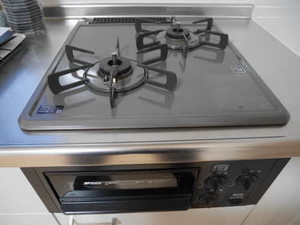 セナブセナ B101号-13