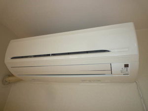 セナブセナ B201号-11